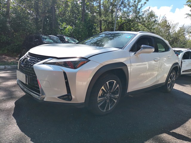 LOTE 046 UX250H DYNAMIC 2022/2023 
